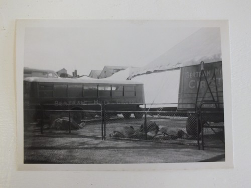Bertram mills circus show tent - circus,
