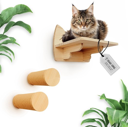 Cat wall shelves - cat,