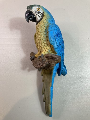 Blue yellow macaw parrot - yellow,