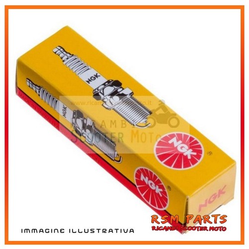 Spark plug ngk b6hs ducati - spark,