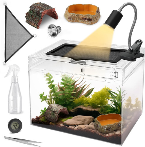 Reptile tank starter kit - reptile,