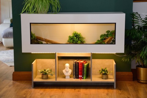 4ft modern white - white, reptile