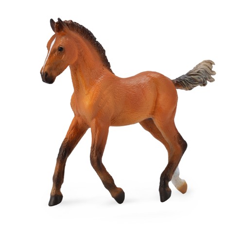 Collect horse life - collect, a