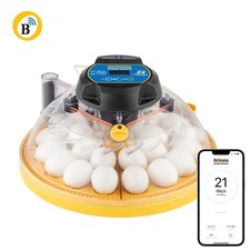 NEW Brinsea Maxi 24 EX Connect