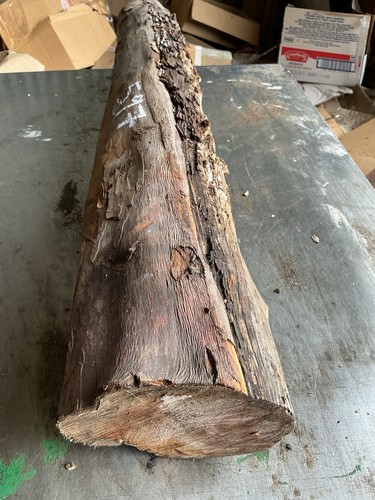 Yew wood - yew,yew, timber,yew