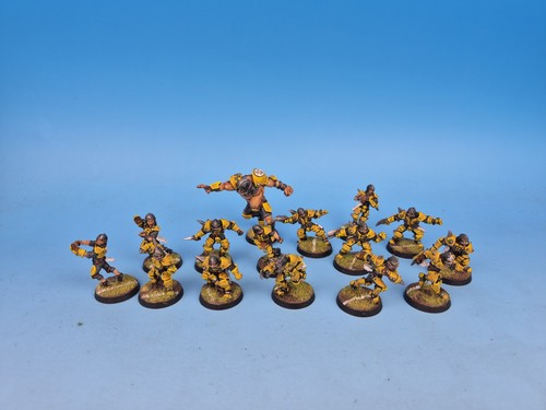 Blood bowl human - bowl, 5th