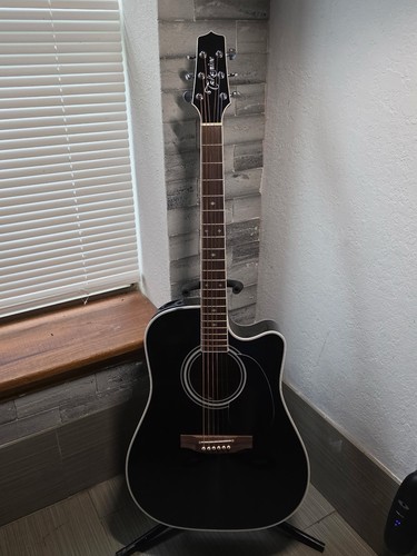 Takamine ef341sc string - 6,