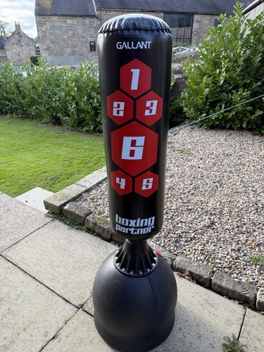 Gallant boxing partner - boxing,