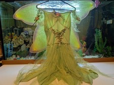 Tinkerbell Fancy Dress Peter