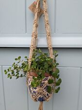 Macramé Hanging Basket Plant