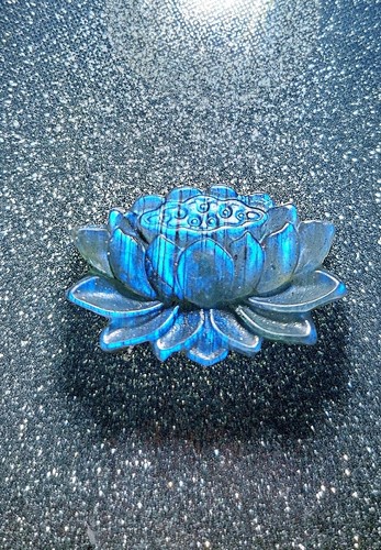 Beautiful lotus flower - lotus, carving