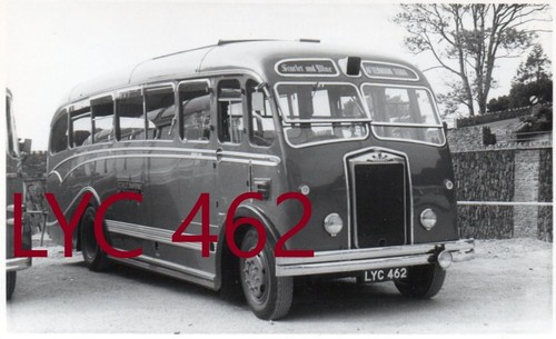 Scarlet minehead lyc462 - scarlet,