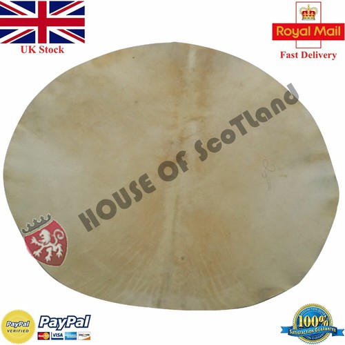 Djembe drum head - head, skin