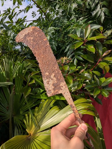 Vintage ancient billhook - ancient, blade