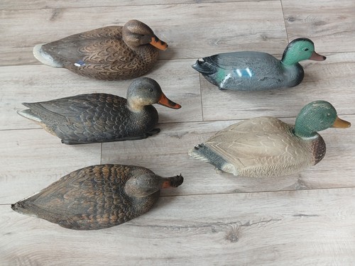 Mallard duck decoys - duck,