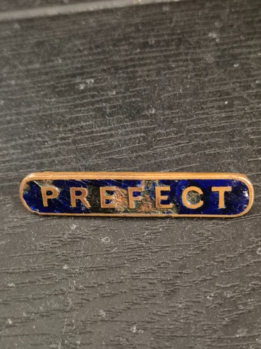 Prefect pin badge school - prefect, blue
