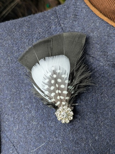 Goose and guinea - fowl, feather