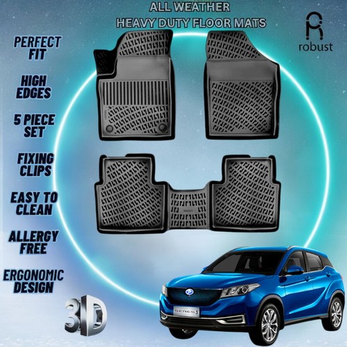 Custom floor mats fits dfsk - custom,