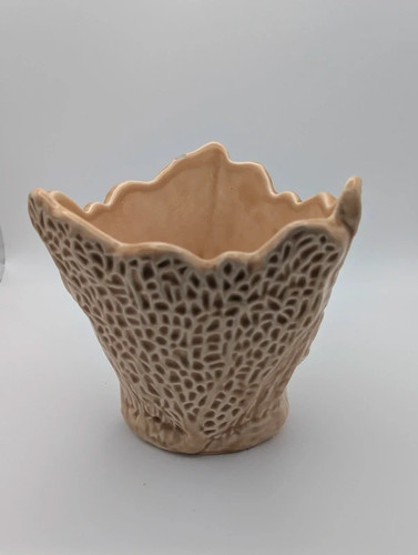 Sylvac coral range - range, plant