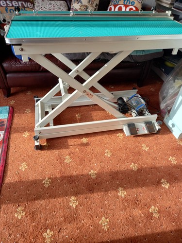 Pet grooming electric - grooming, table