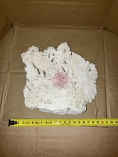 TB5 Tonga Dry Live Rock Plate