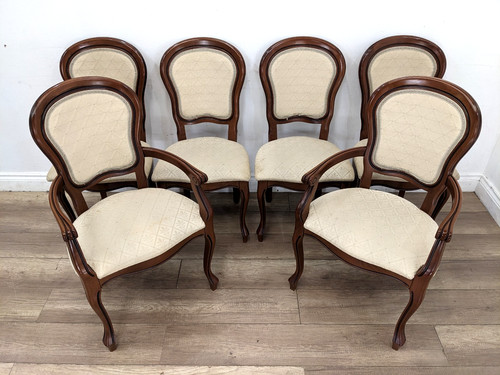 Dining chairs stag - chairs, mahogany