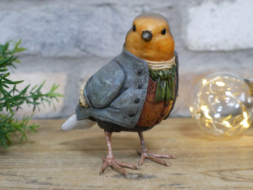 Robin suit garden - robin,