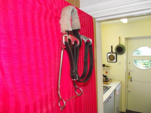 Hackamore continental with two - with,