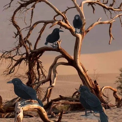 Realistic black crow halloween - realistic,
