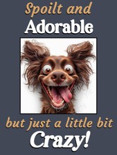 Sprocker Cocker Springer