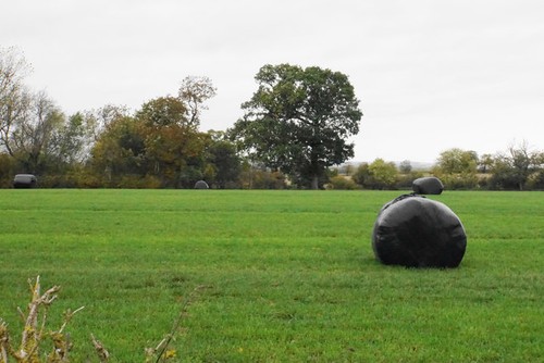 Photo silage bales a - photo,