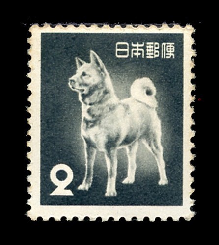 Japanese akita inu dog postage - japanese,