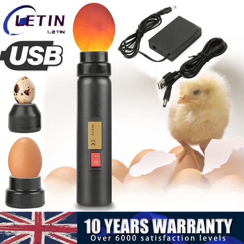 Egg tester high intensity led - high,