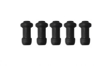 Brake Caliper Rear Mounting