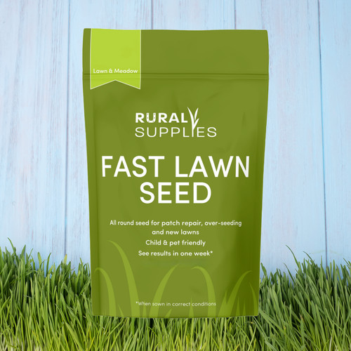 Fast growing lawn grass - growing,