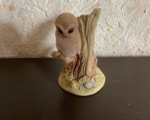 Teviotdale scotland owl - teviotdale,