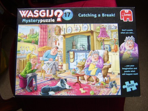 Wasgij mystery jigsaw - 17,