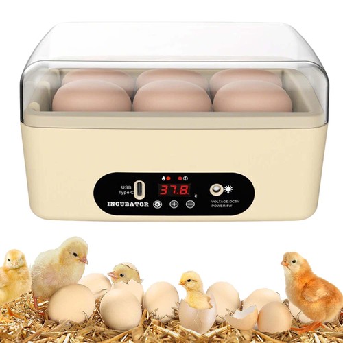 Egg incubator for hatching - egg,