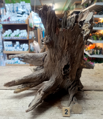 Large corbo root aquarium - large,