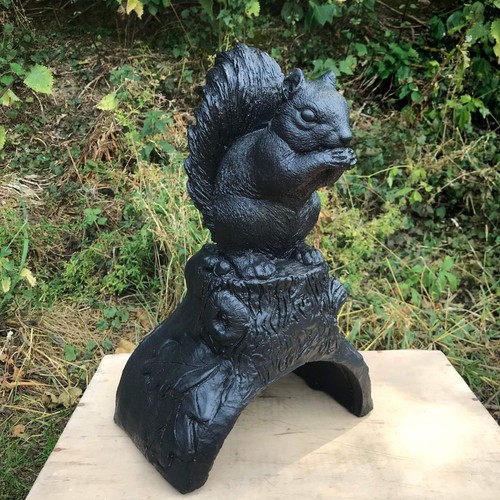 Squirrel half round roof