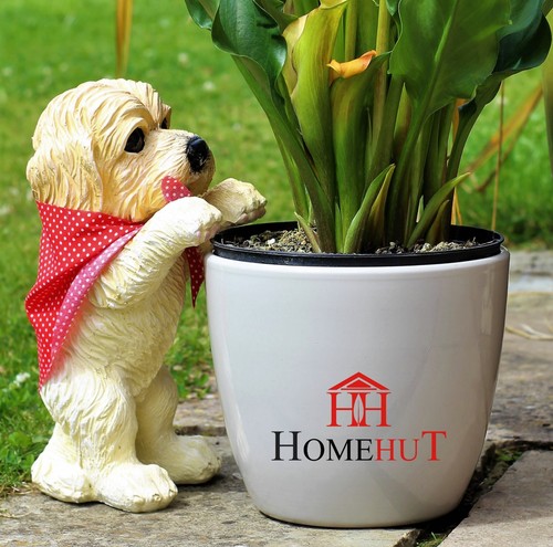 Garden ornament peeping puppy - ornament,