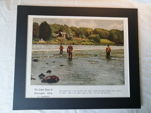 Vintage 1950s lower bann - 1950s,