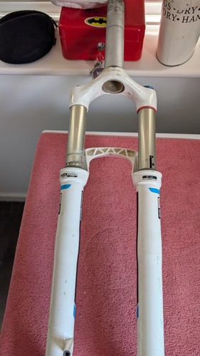 Rock shock rl29 fork - rl29,