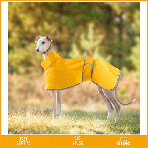 Breathable waterproof dog - waterproof,