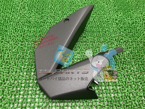 Genuine kawasaki right center - genuine,