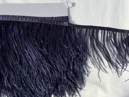 High quality ostrich - quality,