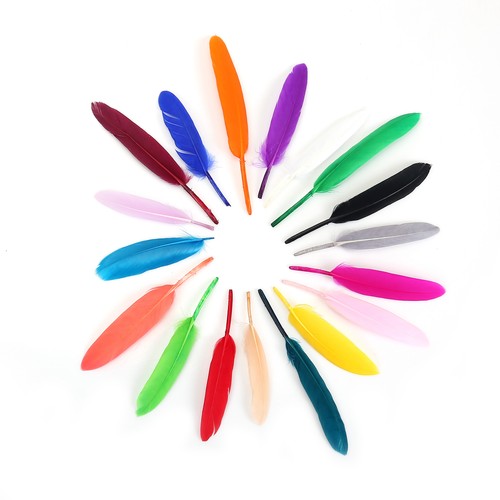 Neotrims pcs goose quill - neotrims,