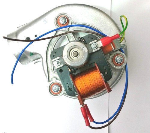 Fime fan for - fan, solo