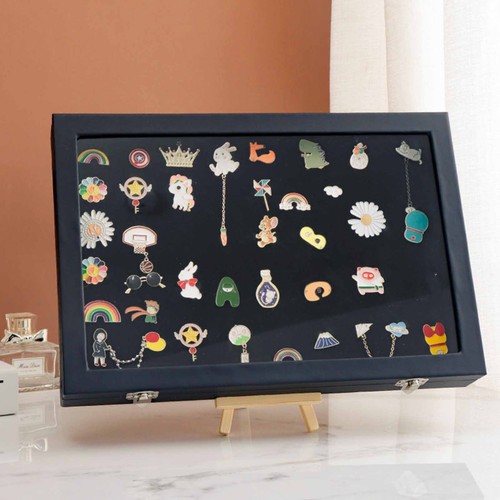 Pin display case - display, orderly
