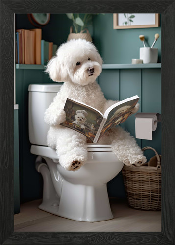 Bichon frise the - frise, on